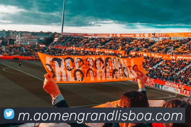 新葡京娱乐平台生态图