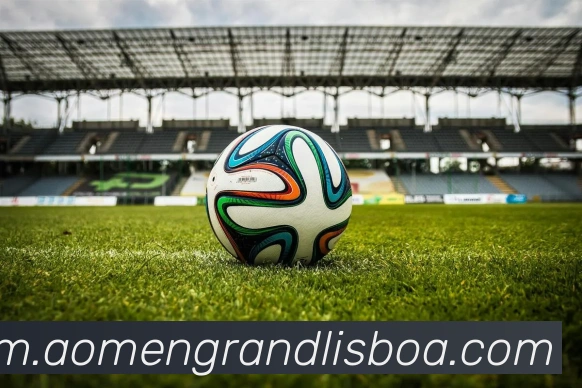 新葡京娱乐全站App 新葡京娱乐全站App